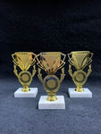 GRADUATION TROPHY