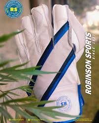RS Wicket Keeper  Cricket Gloves