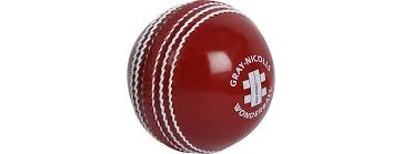 Gray-Nicolls grey-NICOLLS  Wonderball Cricket Ball GN PVC FOAM