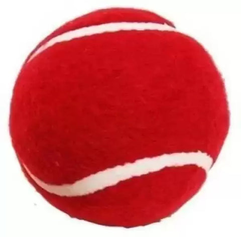 RS Cricket Tennis Ball