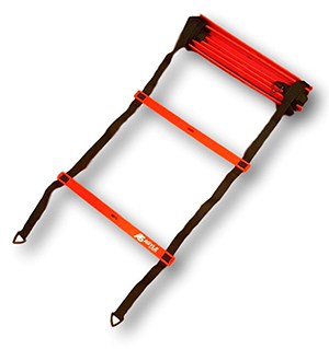 WESTON Training Ladder