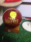 RS Cricket Ball Test Master Red