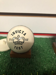 RS INVICTA WHITE CRICKET BALL