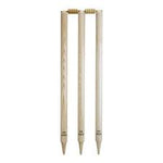 RS CRICKET STUMPS SET (6) WITH BAILS