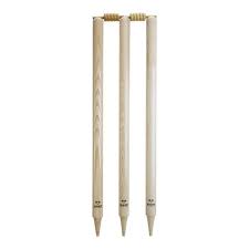 RS CRICKET STUMPS SET (6) WITH BAILS