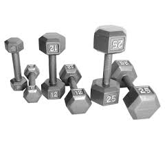 15LBS HEX STEEL DUMBBELLS