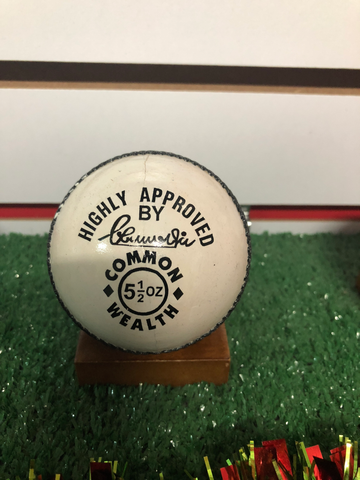 RS WHITE COMMON WEALTH CRICKET BALL